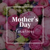 Mom