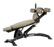 Hoist CF Series Adjustable Decline Ab Bench