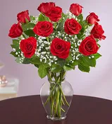 Red Roses 1 Dozen