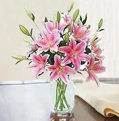 All Lillies Arrangement