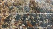 Deluxe Wild Bird Seed Mix, 20 or 40 lb Bag