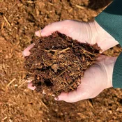 Bark Mulch - per yard