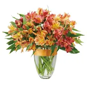 Awesome Alstromeria