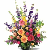 Most Memorable Tribute - TF183-1
