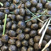 Rabbit Manure – 1.2 cf bag