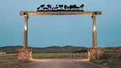 DIY - 13″ x 85″ Post Mount Horses In Aspens - J. Dub's Metalworks