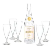 Acrylic Champagne Glass Set