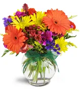 Sunglow Blooms™