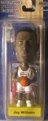 Chicago Bulls Jay Williams NBA PlayMakers Bobblehead 2002/2003