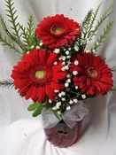 3 MINI RED GERBERA DAISIES ARRANGED IN A  (E)