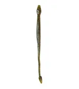 Giggy Snake Green Pumpkin Candy Bulk