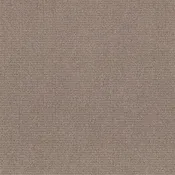 Anderson Tuftex Carpet Alluring Clay 00782_ZZ316