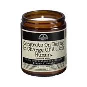 Candle: Congrats On Being In Charge Of A Tiny Human 9oz Family Candle Malicious Women Co