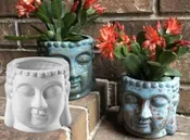 Buddha Planter