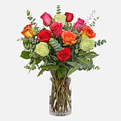 1-Dozen Multicolor Roses