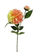 #024152YPH – 24″ Dahlia, Stem x2 {Yellow/Peach}