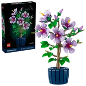 10372 - Hibiscus - ND
