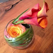 Curled Mango Calla