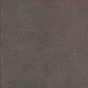 Antique Leather