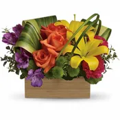 Teleflora's Shades Of Brilliance Bouquet