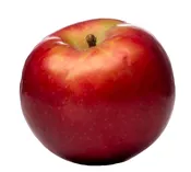 McIntosh