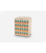 Plan Toys Rhythm Box II