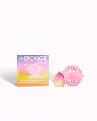 The Sponge | Rainbow