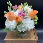 VANA'S HUGS AND KISSES $100/130/160