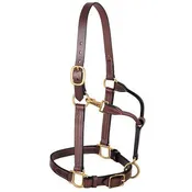 3-in-1 All Purpose Halter, 1"