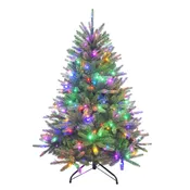 4.5′ Washington Valley Spruce