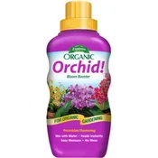 Orchid!