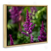 Aaron Matheson | Purple Flower in Nature Wall Art