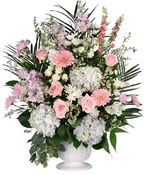 CONSOLING PASTELS