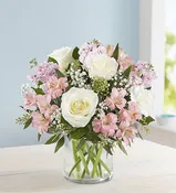 ELEGANT BLUSH