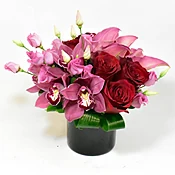 Love in Bloom
