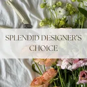 Splendid Designer's Choice Vase