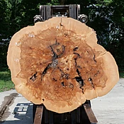 Ash Slab No. 1164
