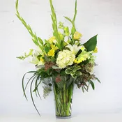 A Ray of Light Arrangement