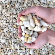 Pearl Pebble 3/4″ Stone