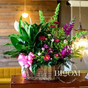Mixed Garden Basket