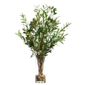 Birch/Olive Br FW