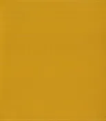541-47  SN Shantung Golden Yellow