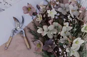 Custom Arrangement