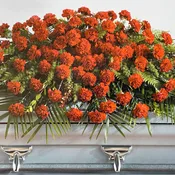 Casket Spray CS-04