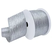 2-1/2″ BORDERLINE 10YD Silver