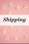 Shipping