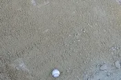 Concrete Sand