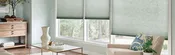 Motorized Shades