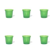 4 inch Slotted Orchid Pot (6 Pack)