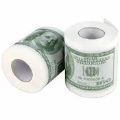 $100 Dollar Print Toilet paper